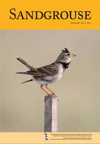 Sandgrouse Cover 33 (1)