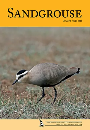 Sandgrouse